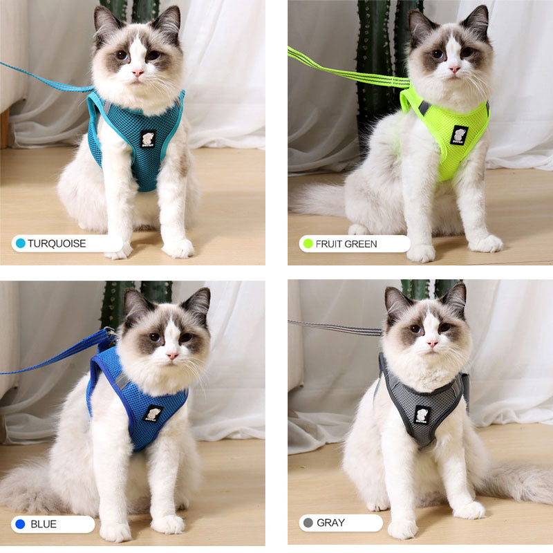 Cat Harness- Walker