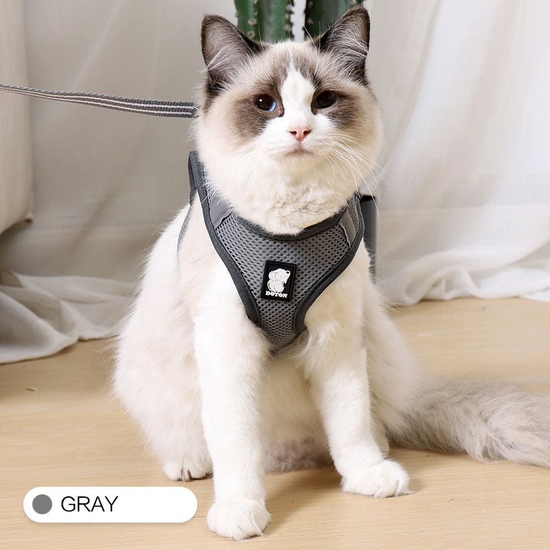Cat Harness- Walker