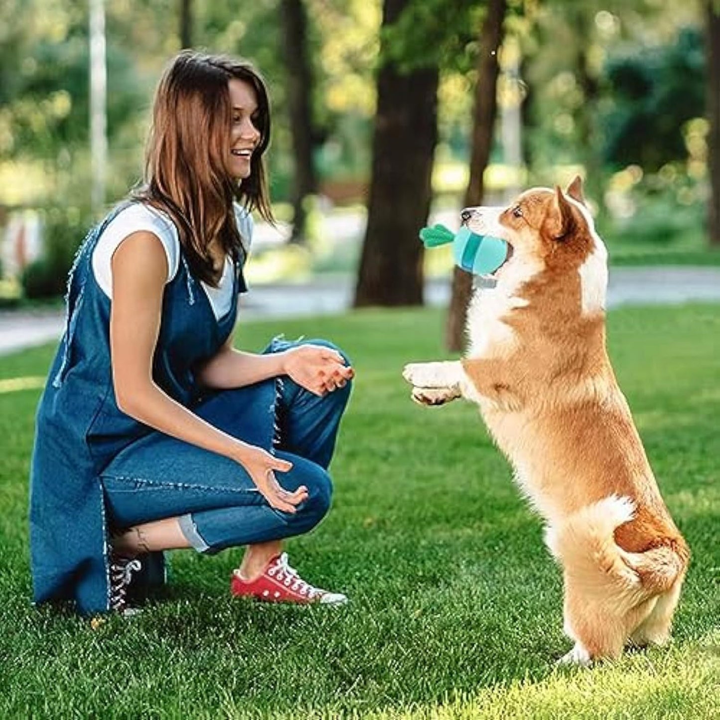 Interactive Treat Dispensing Dog Toys Different Functions Interactive Dog Puzzle