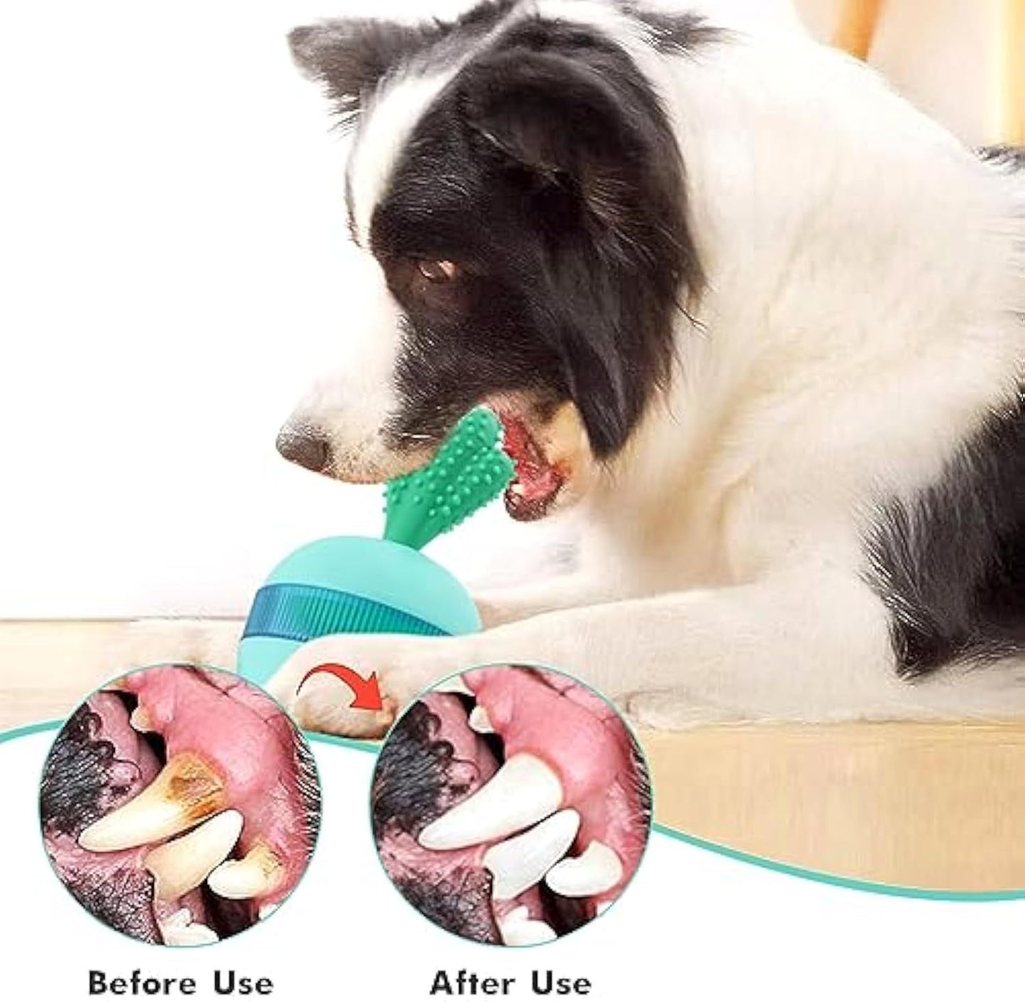 Interactive Treat Dispensing Dog Toys Different Functions Interactive Dog Puzzle