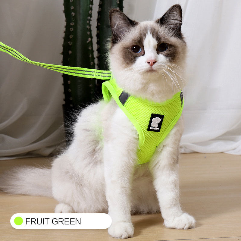 Cat Harness- Walker